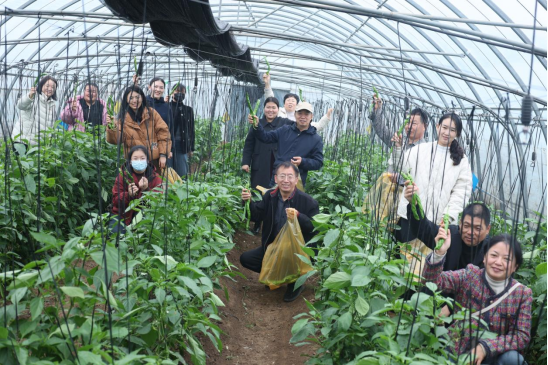 微信图片_2025-12-15_162808_805.png