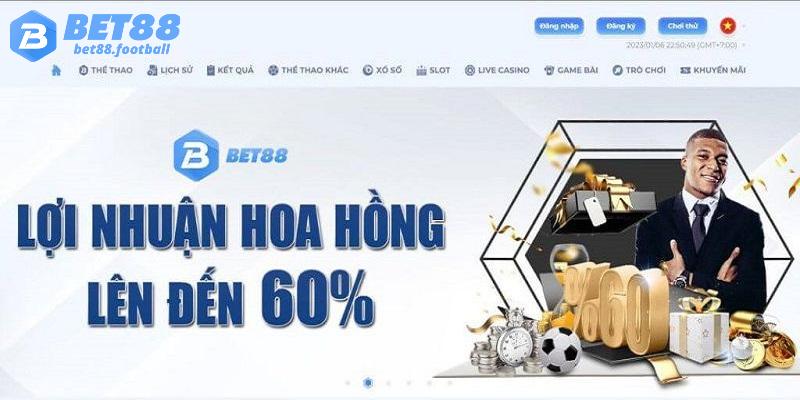 Lợi nhuận siêu hấp dẫn có thể lên đến 60%