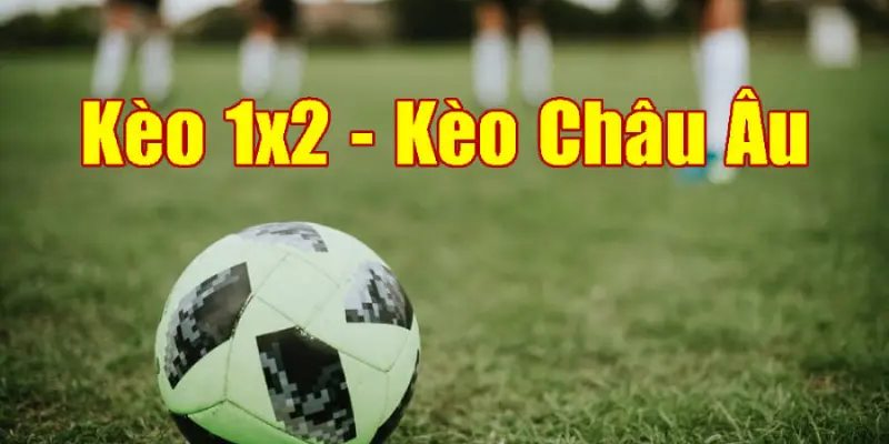 Các cửa cược kèo bóng