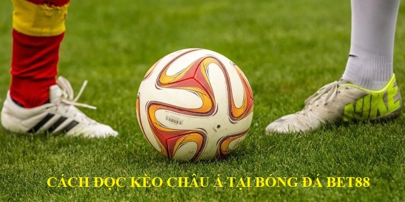 Cách đọc kèo Châu Á tại bóng đá Bet88