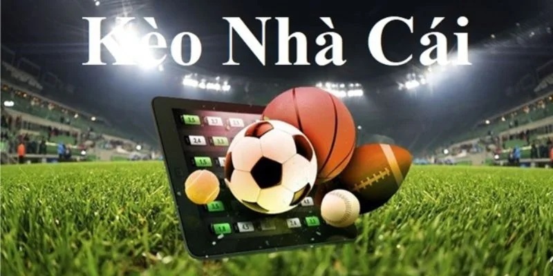 Kèo nhà cái Bet88 - Đặt cược liền tay, rinh ngay trăm triệu