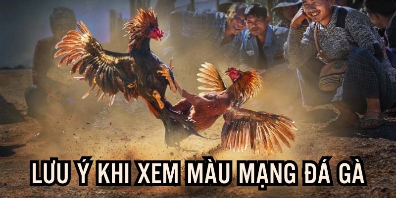 Vấn đề cần chú ý, đảm bảo thành công khi áp dụng 