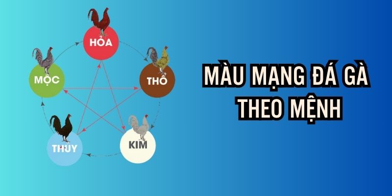 Xem màu mạng đá gà dựa trên mệnh Hỏa nhanh chóng