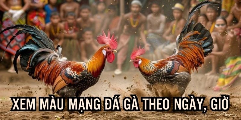 Tập trung vào ngày, giờ hoặc mùa trong năm để xác định